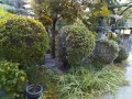 IMG_20260820_184926
