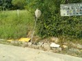 IMG_20260821_090005