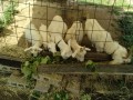 IMG_20260821_090300