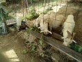 IMG_20260821_090311