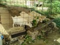 IMG_20260821_090328