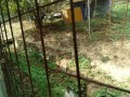 IMG_20260821_090334