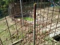 IMG_20260821_090352