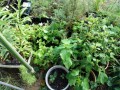 IMG_20260821_170343