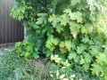 IMG_20260821_170408
