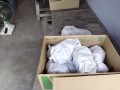 IMG_20260822_092339