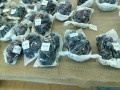 IMG_20260822_130043