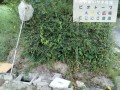 IMG_20260822_165758