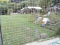 IMG_20260822_165823