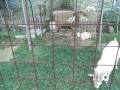 IMG_20260822_170156