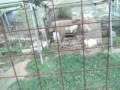 IMG_20260822_170200