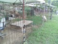 IMG_20260822_170247