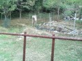 IMG_20260822_170308