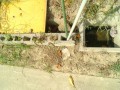 IMG_20260823_094950