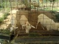 IMG_20260823_095414