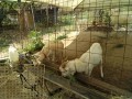 IMG_20260823_095421