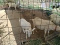 IMG_20260823_095431