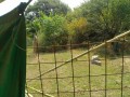 IMG_20260823_095516