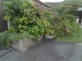 IMG_20260823_182057