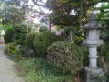 IMG_20260823_182122