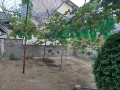 IMG_20260823_182135