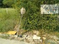 IMG_20260824_084800