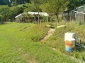 IMG_20260824_084911