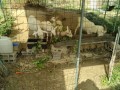 IMG_20260824_085343