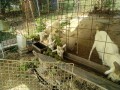 IMG_20260824_085351
