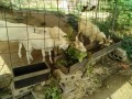 IMG_20260824_085400