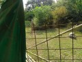 IMG_20260824_085500