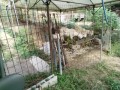IMG_20260824_085524