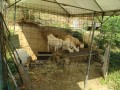 IMG_20260824_091531