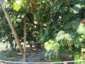 IMG_20260824_103244