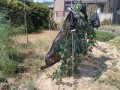 IMG_20260824_103337