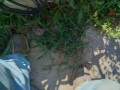IMG_20260825_085640