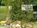 IMG_20260825_085706
