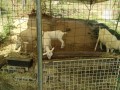 IMG_20260825_085920
