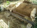 IMG_20260825_085927