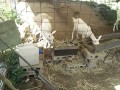IMG_20260825_085937