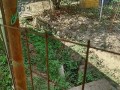 IMG_20260825_085944