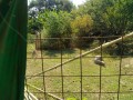 IMG_20260825_090024