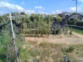 IMG_20260825_094904