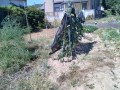 IMG_20260825_094932