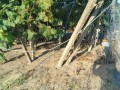 IMG_20260826_070227