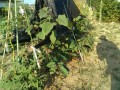 IMG_20260826_070245