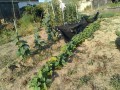 IMG_20260826_070247