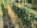 IMG_20260826_070311
