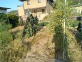 IMG_20260826_070313