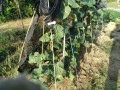IMG_20260826_070320